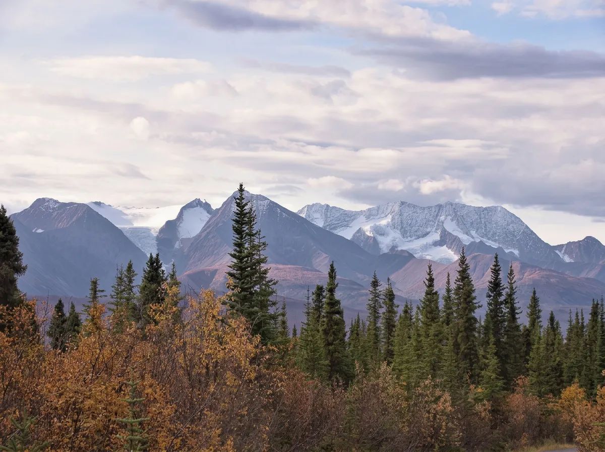 Photo de NWT Outfitters dans les Dehcho, Nt