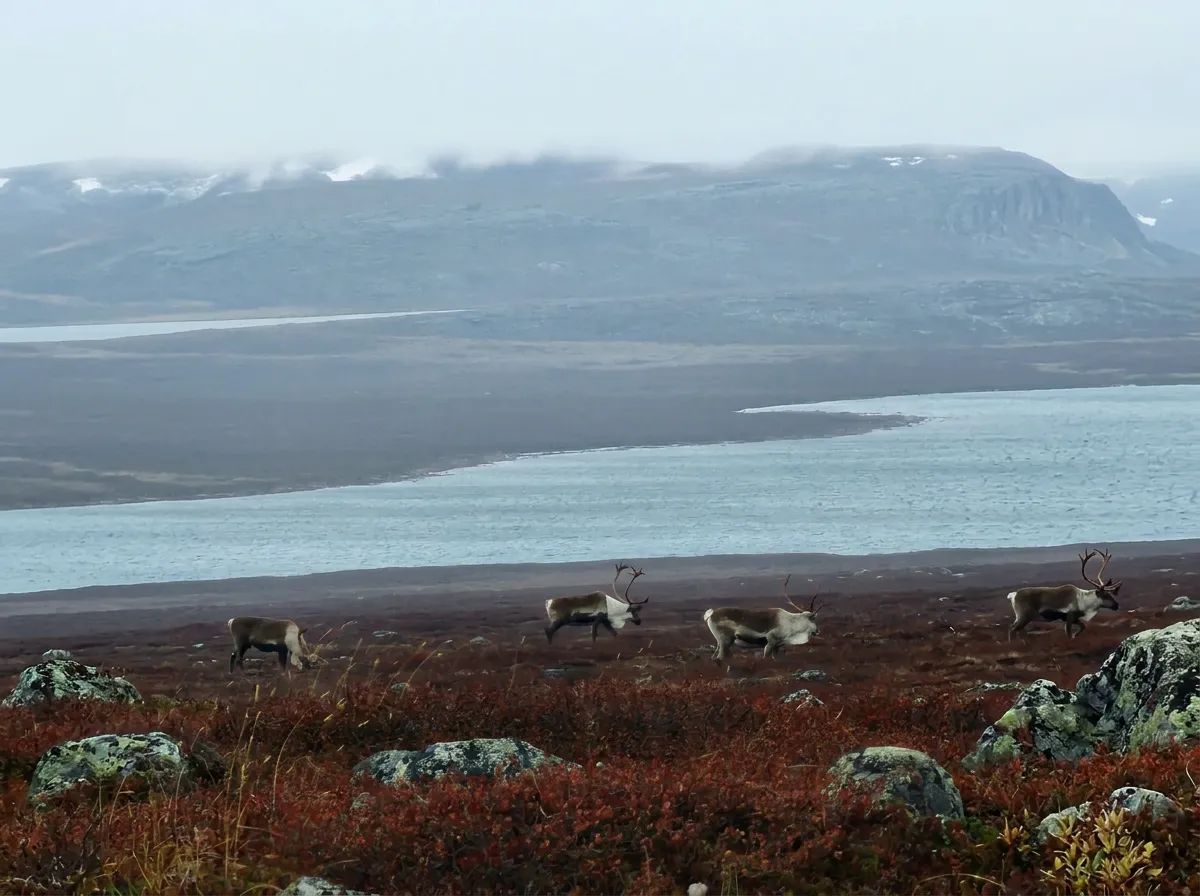 Photo of TPA Outfitters in Kivalliq, NU