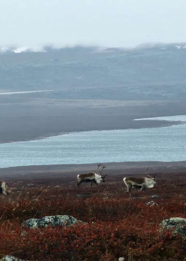 Photo de TPA Outfitters dans les Kivalliq, Nu