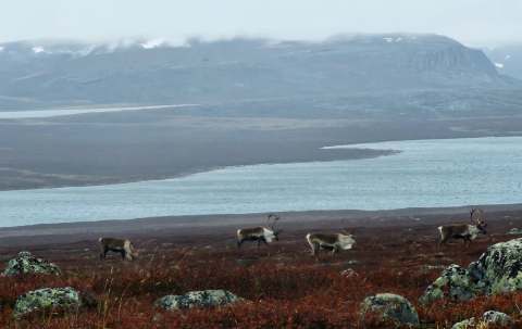 Photo of TPA Outfitters in Kivalliq, NU